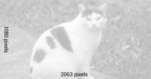template-1.91by1-1080p