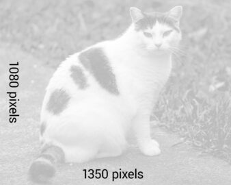 template-4by5-1080p